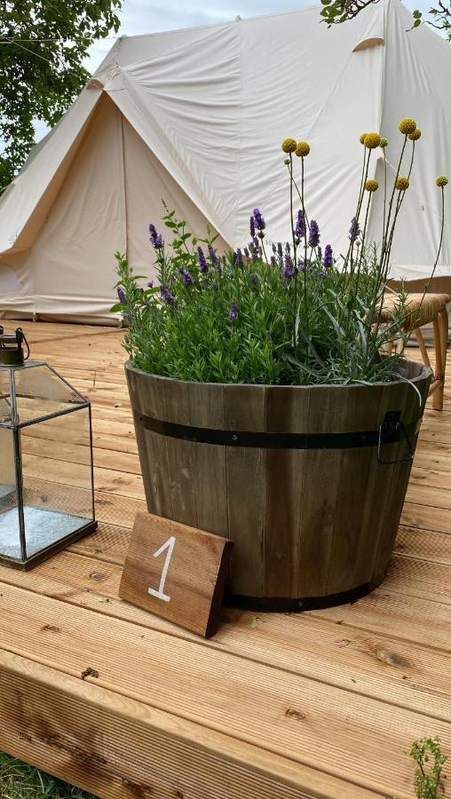Green Glamping Sønderborg Eksteriør bilde
